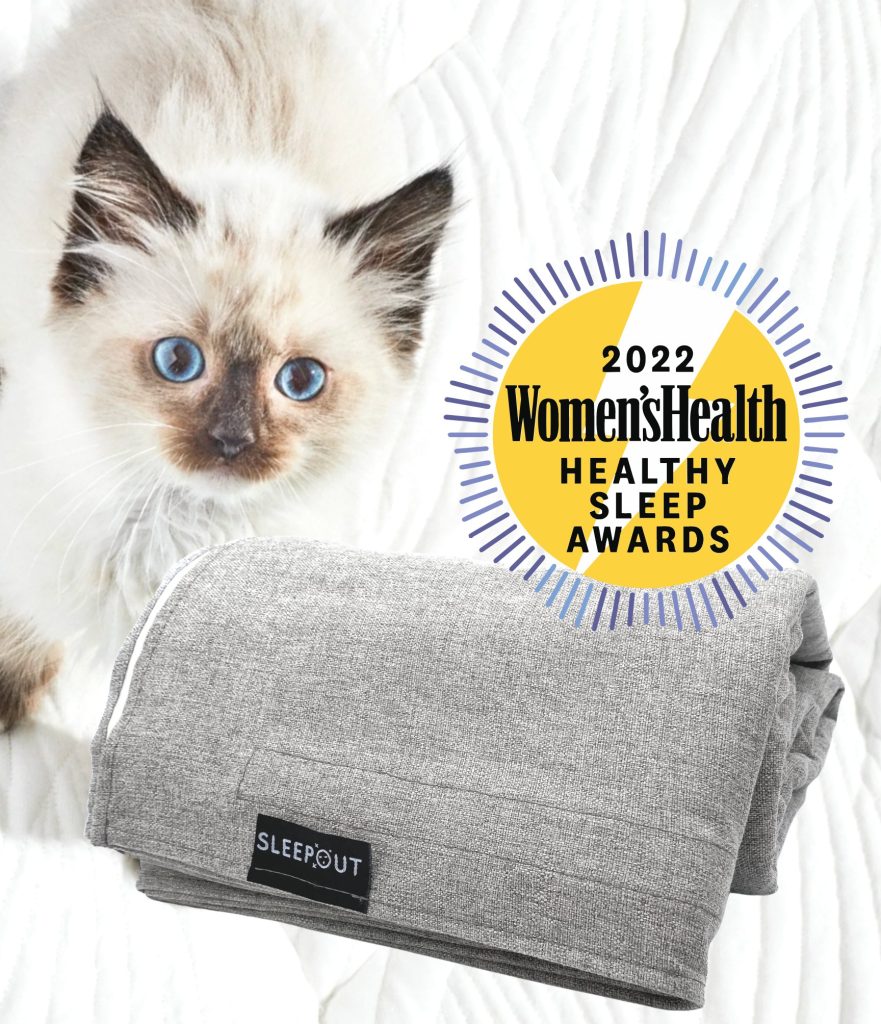 306541901 470672991742226 5379950632162035037 n